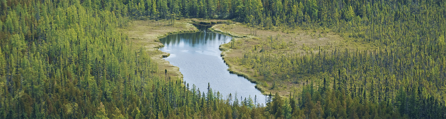 カナダの持続可能な森林経営